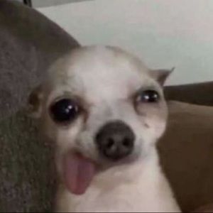 Meet your Posher, Nikole